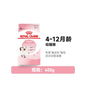 【皇家 Royal Canin】幼貓糧系列 K36/BK34｜離乳母貓奶糕、二階段幼貓專用糧，布偶/藍貓/美短特規營養