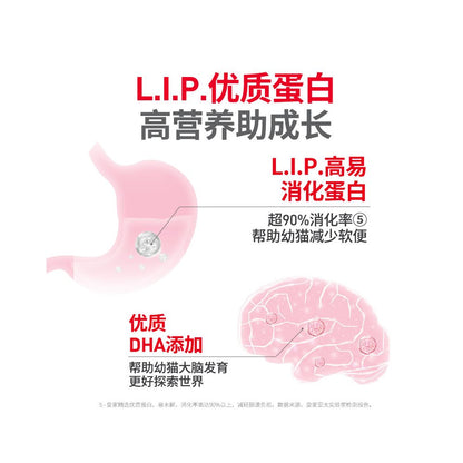 Royal cat food and kitten food K36 6 5KG weaning period English short kitten food full price nutritional food new product launched image 4