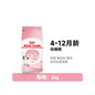 【新品上市】皇家 Royal Canin K36 幼貓糧 6.5kg｜英短/全品種幼貓專用，離乳期至12個月全價營養主食