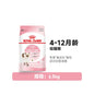 【官方正品】皇家 Royal Canin 幼貓糧 K36 / BK34 奶糕｜1-12個月離乳期幼貓專用，大容量 6.5kg / 10kg 專業裝