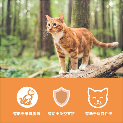 Official flagship Orijen yearns for original hunting original flavor cat food US version full price adult cat and kitten 5 4kg image 3