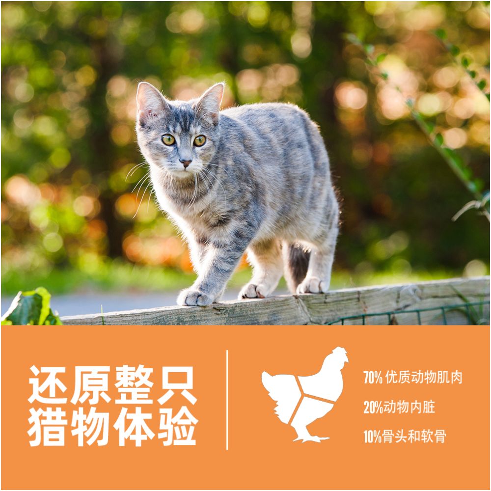Official flagship Orijen yearns for original hunting original flavor cat food US version full price adult cat and kitten 5 4kg image 4
