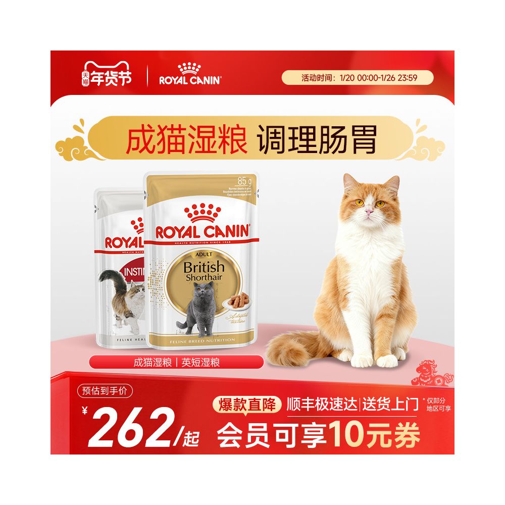 Royal cat wet food staple food imported for adult cats full price staple food grade cat food image 1