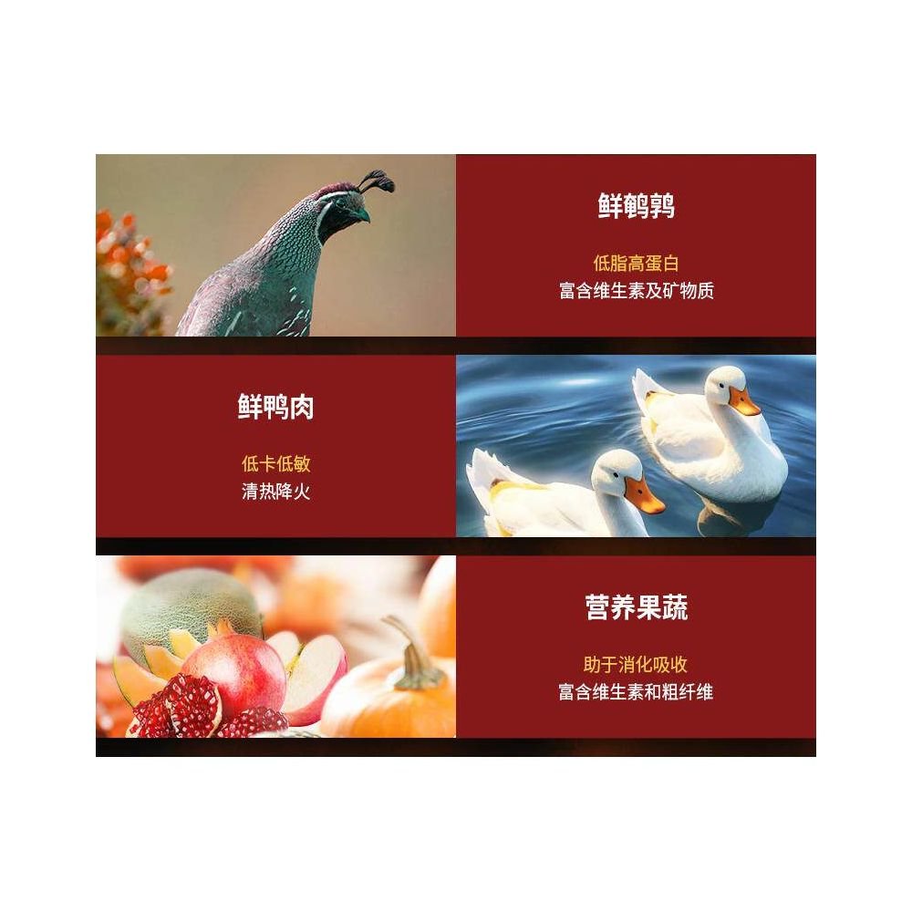 法米納 Farmina 義大利進口天然南瓜鴨肉貓糧｜5kg 成貓低敏無穀配方 - 吉安寵物用品