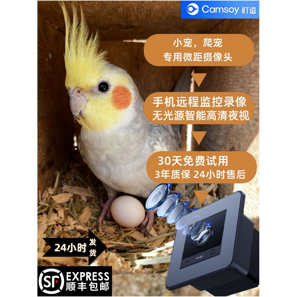 爬寵專用高清監控攝像機｜微距高清夜視、孵化觀察專用、手機遠端操控 - 吉安寵物用品