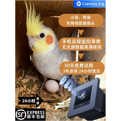 爬寵專用高清監控攝像機｜微距高清夜視、孵化觀察專用、手機遠端操控 - 吉安寵物用品