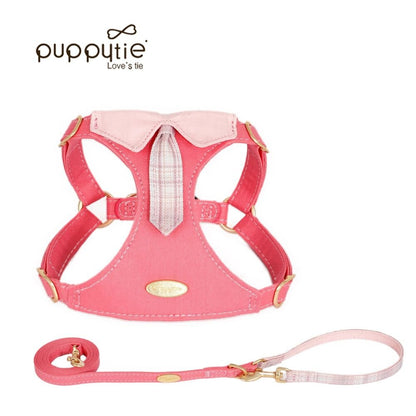 【Puppytie 官方正品】專業背心式胸背帶牽引組｜中小型犬戶外專用機能裝備 - 吉安寵物用品