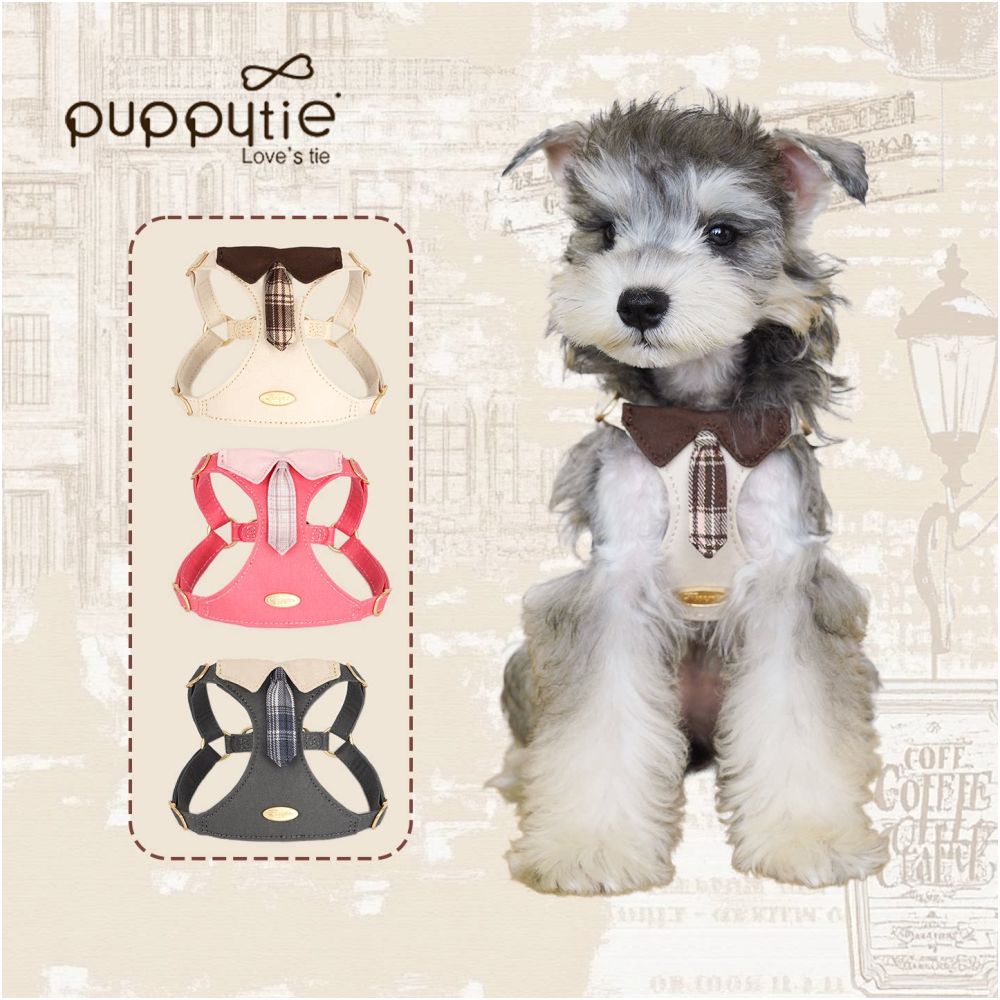 【Puppytie 官方正品】專業背心式胸背帶牽引組｜中小型犬戶外專用機能裝備 - 吉安寵物用品